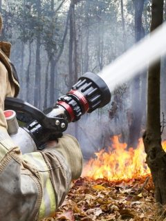 Incendio forestal