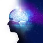 Cerebro