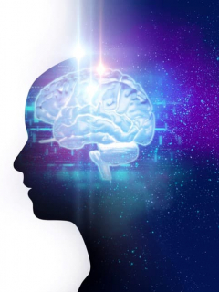 Cerebro