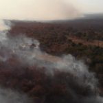 Amazonas incendio