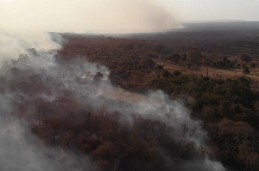 Amazonas incendio