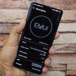 Emui 10