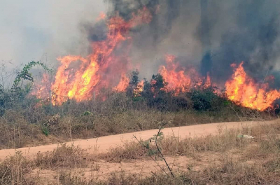 Incendio en Porto Velho, Rondonia