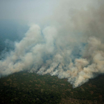 Incendio en el Amazonas
