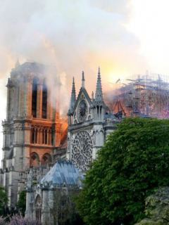 Notre Dame y la Amazonia