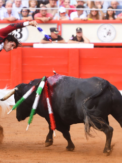 Corrida de toros
