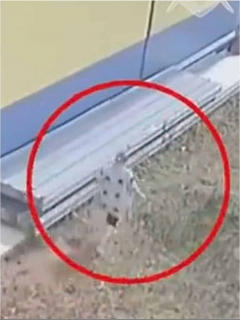 Rusa abandona hija