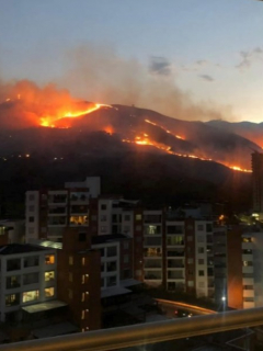 Incendio en Cali.