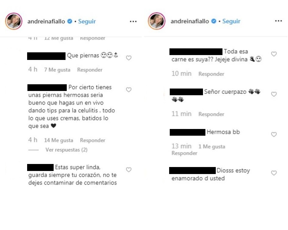 Comentarios post Andreina Fiallo