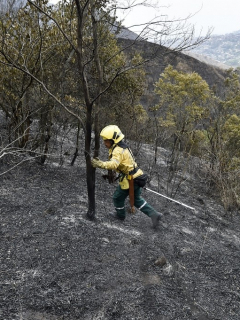 Incendio forestal en Colombia