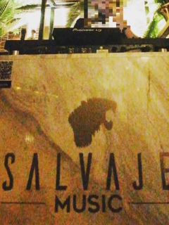 Imagen de restaurante Salvaje