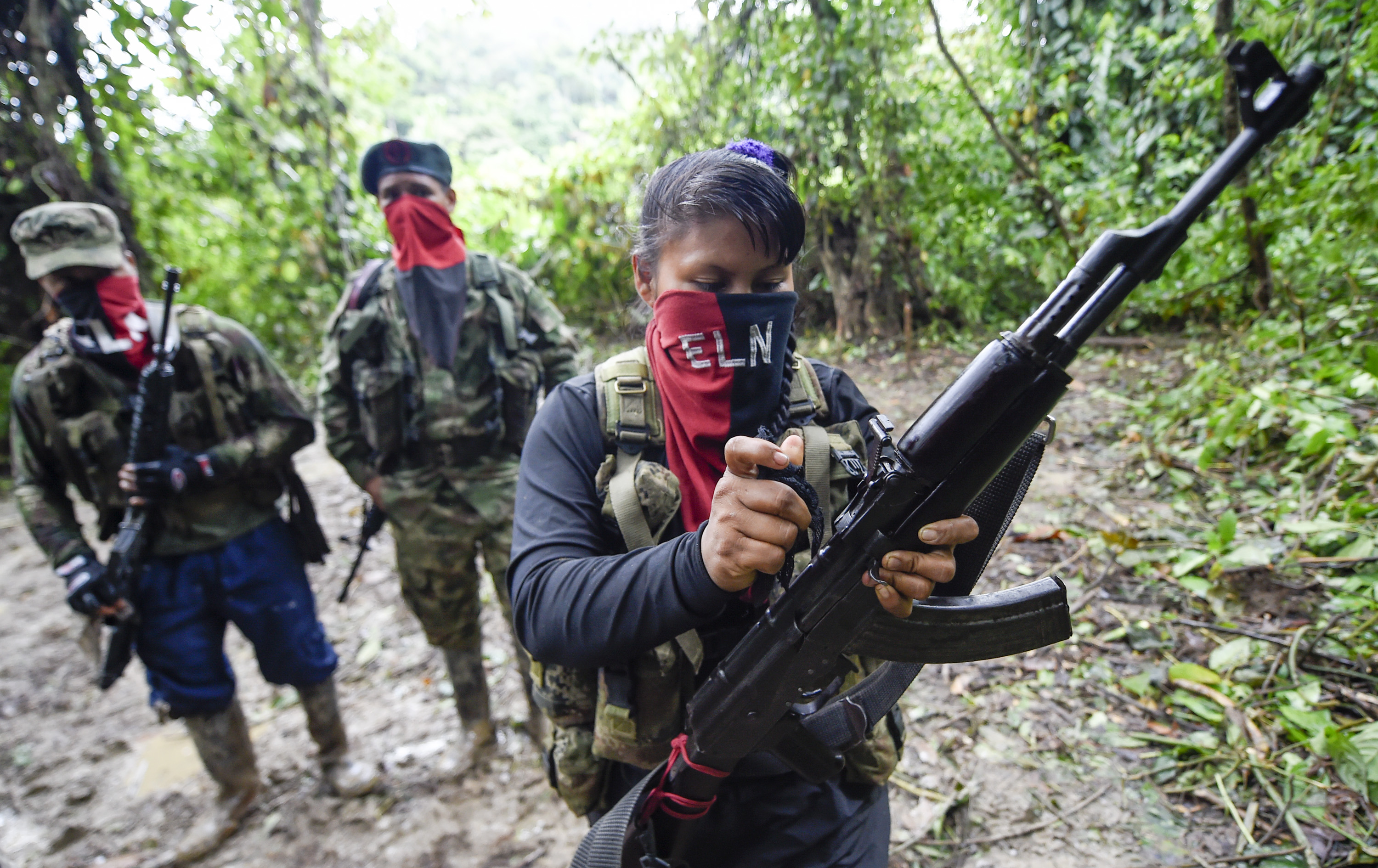 Eln