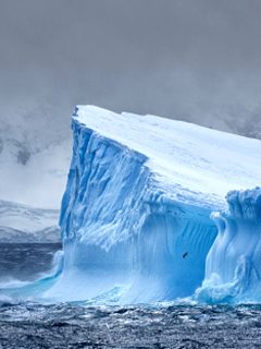 Iceberg