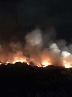Incendio forestal