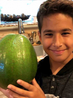 Aguacate
