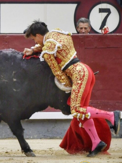 Gonzalo Caballero