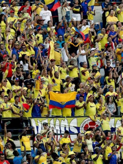 Aficionados colombianos
