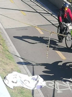 Cadáver en ciclorruta