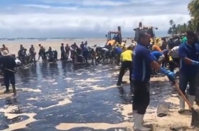 Praia dos Carneiro en medio de petróleo