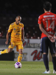 Protesta Tigres Veracruz 2019