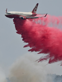 Avión combate incendios en Australia