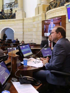 Agarrón en el Senado