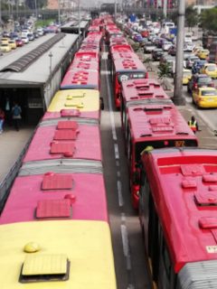 Fila de buses de TM