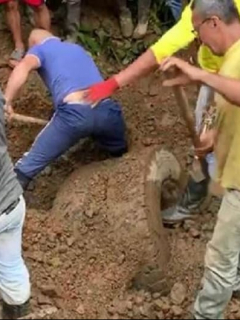 Tractomula en vía a Medellín