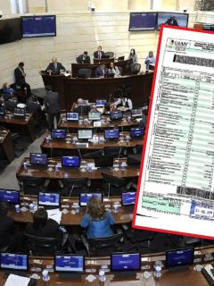 Congreso y declaración de renta