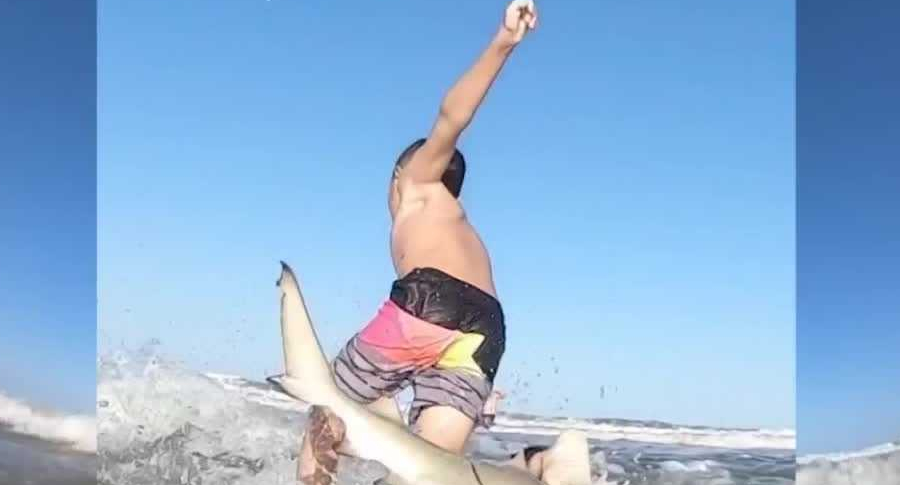 Tiburón tumba a niño de tabla de surf