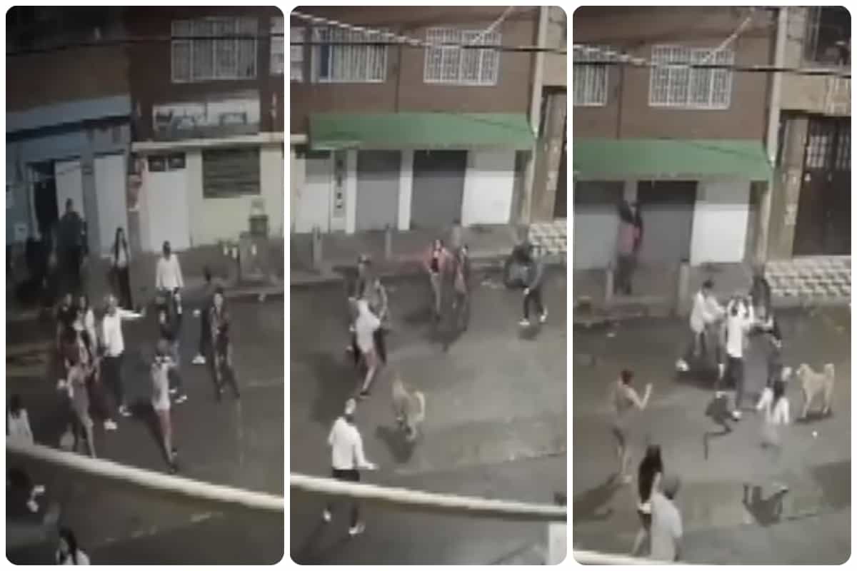 Pelea callejera
