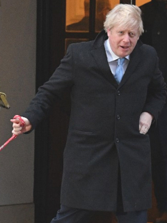 Johnson2