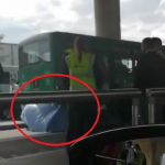 Bus alimentador