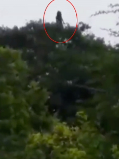 La Llorona en Moñitos, Córdoba