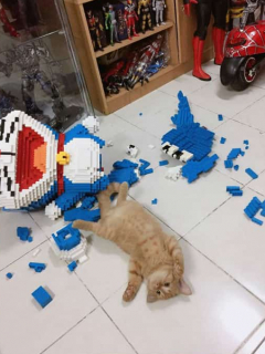 Gato destruye figura de lego.