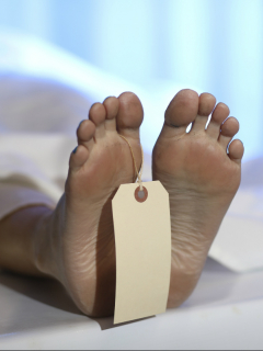 Muerta