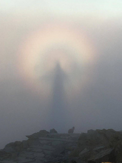 Broken Spectre