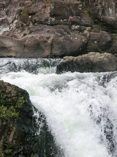 Cascada