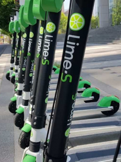 Lime