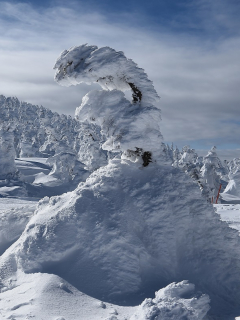 nieve
