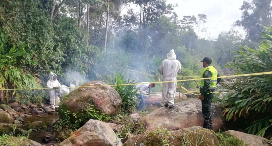 Rescate de menores atacados por abejas en San Bernardo, Cundinamarca