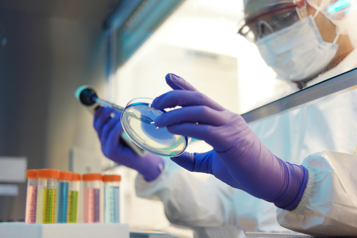 Laboratorio