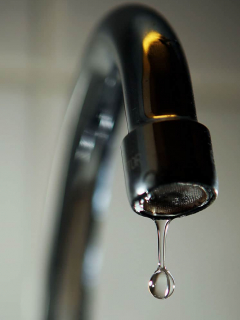 Agua, grifo