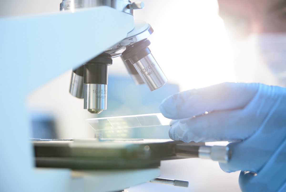 Laboratorio