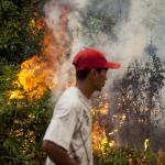 Incendio forestal