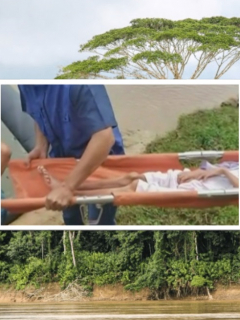 Amazonas.