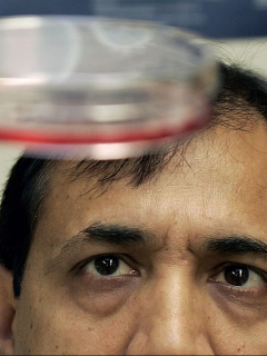 Científico observa célula infectada con coronavirus