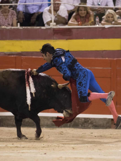 Corridas de toros