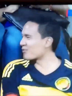 Aficionados de la Selección Colombia