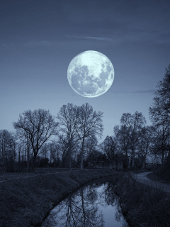 Luna